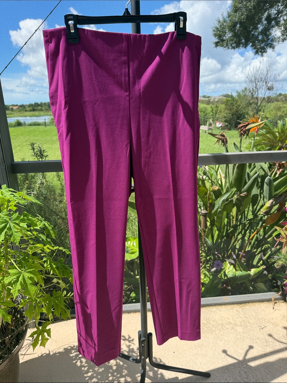 Ann Taylor Magenta Straight-Leg Dress Pants